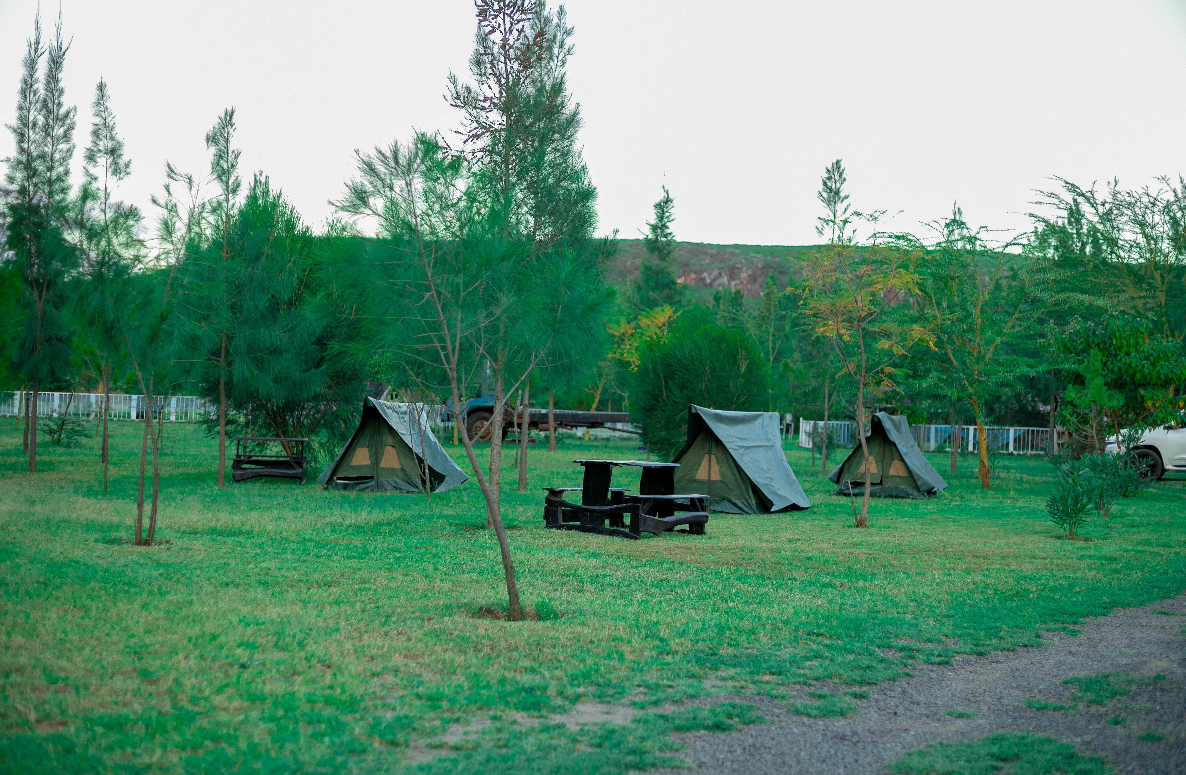 Camping Experience