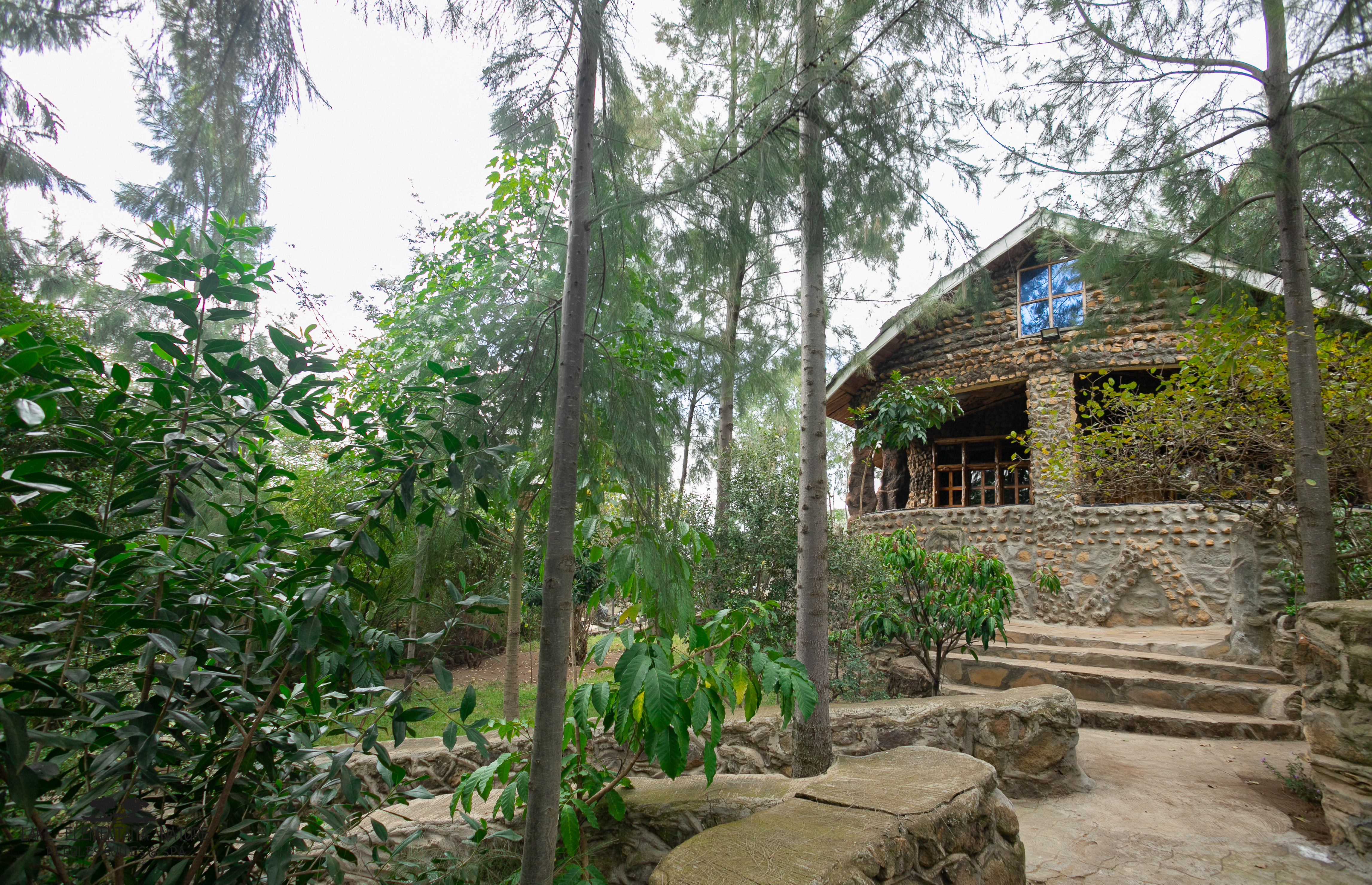 Family Cottage